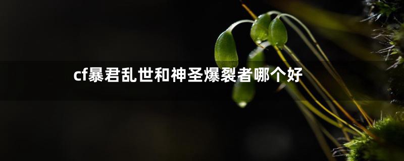 cf暴君乱世和神圣爆裂者哪个好