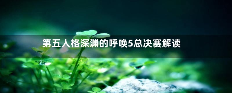 第五人格深渊的呼唤5总决赛解读
