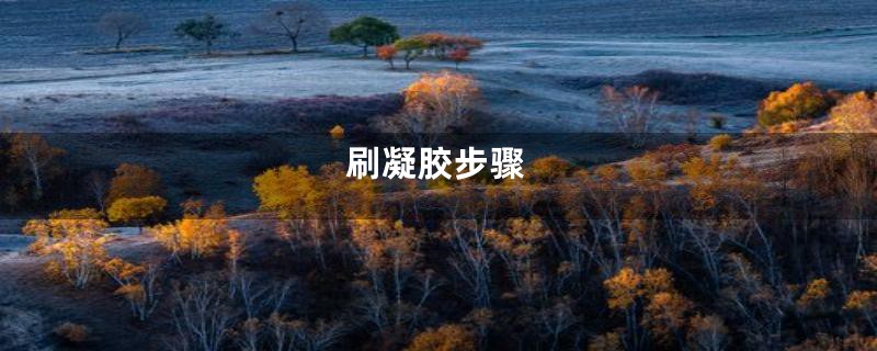 刷凝胶步骤