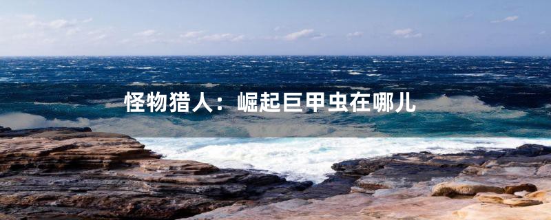 怪物猎人：崛起巨甲虫在哪儿