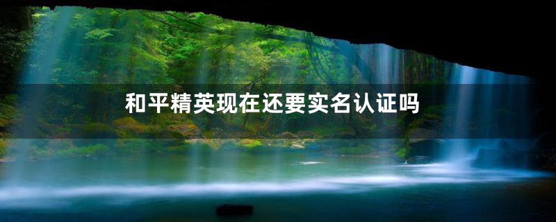 和平精英现在还要实名认证吗