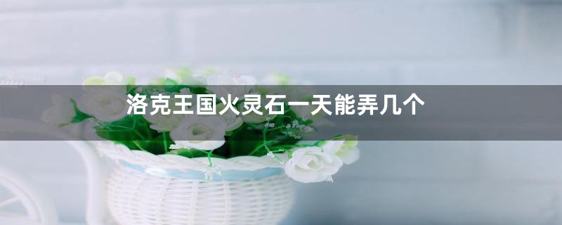 洛克王国火灵石一天能弄几个