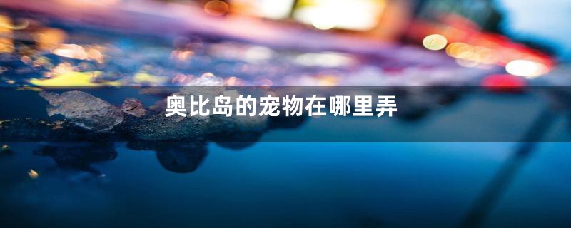 奥比岛的宠物在哪里弄
