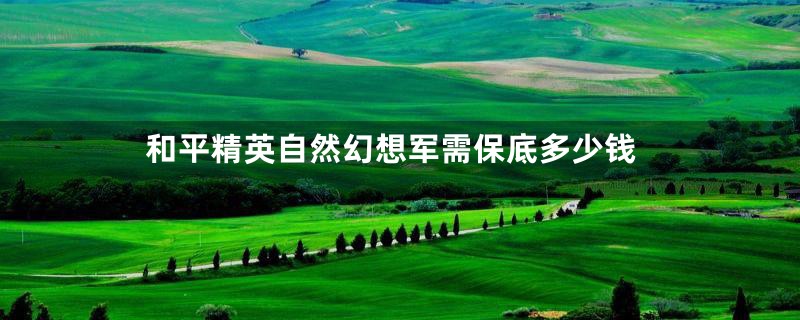 和平精英自然幻想军需保底多少钱