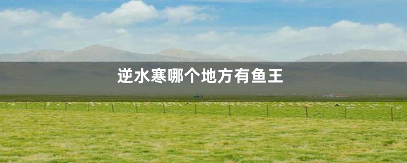 逆水寒哪个地方有鱼王