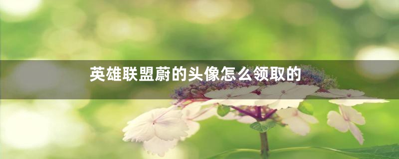 英雄联盟蔚的头像怎么领取的