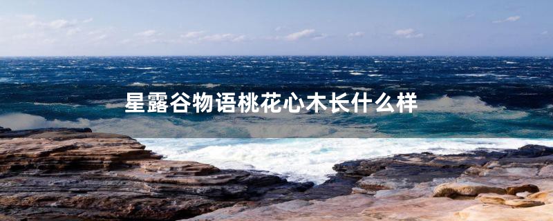 星露谷物语桃花心木长什么样