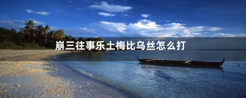 崩三往事乐土梅比乌丝怎么打