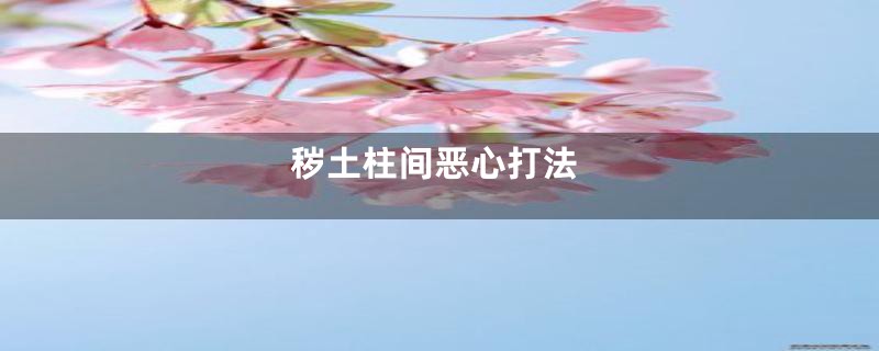 秽土柱间恶心打法
