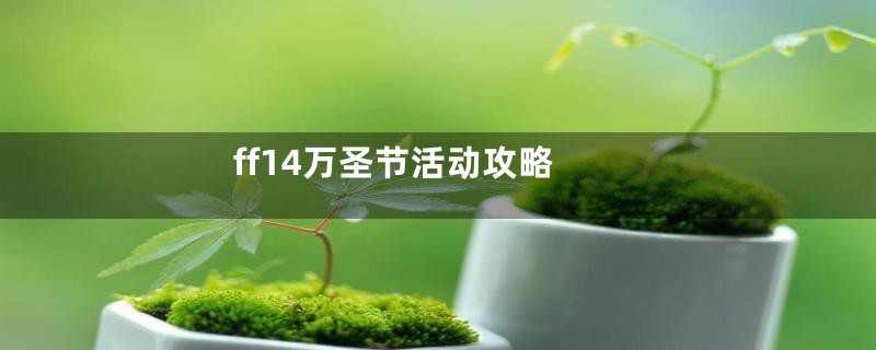 ff14万圣节活动攻略