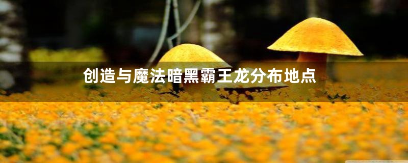 创造与魔法暗黑霸王龙分布地点