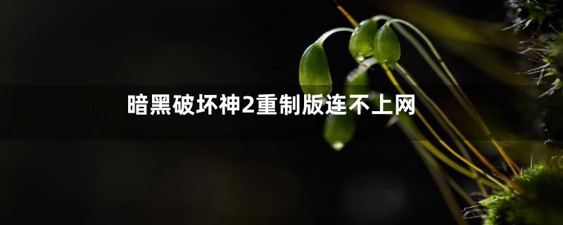 暗黑破坏神2重制版连不上网