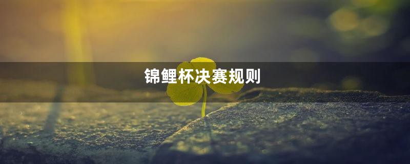 锦鲤杯决赛规则