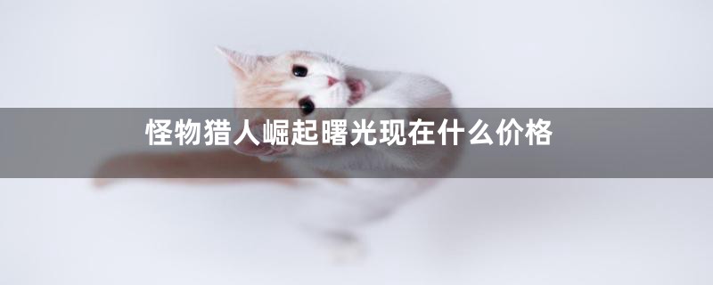 怪物猎人崛起曙光现在什么价格