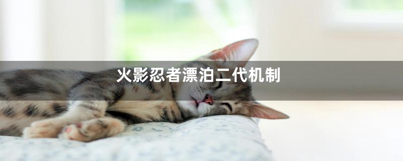 火影忍者漂泊二代机制