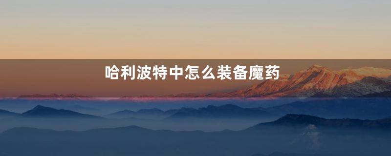 哈利波特中怎么装备魔药