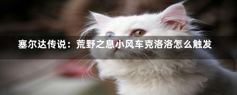 塞尔达传说:荒野之息小风车克洛洛怎么触发