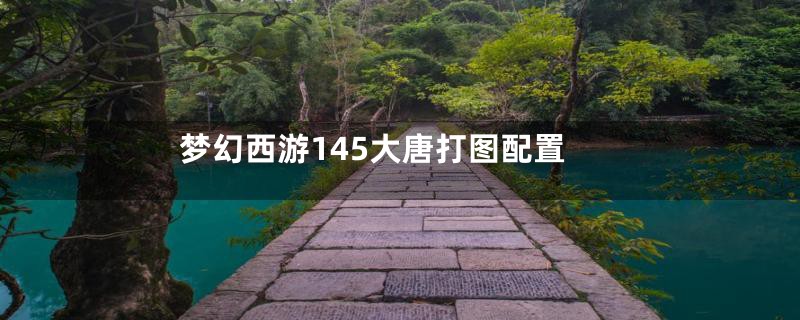 梦幻西游145大唐打图配置