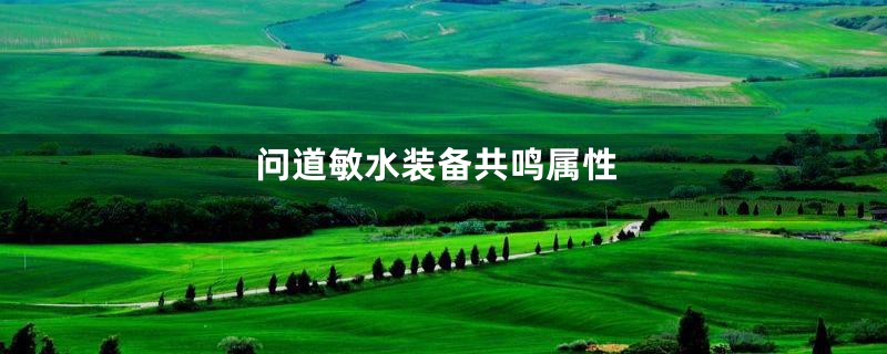 问道敏水装备共鸣属性