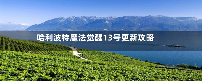 哈利波特魔法觉醒13号更新攻略