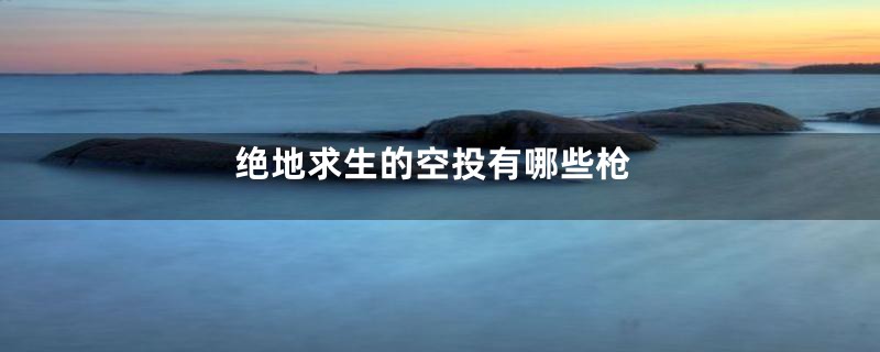 绝地求生的空投有哪些枪