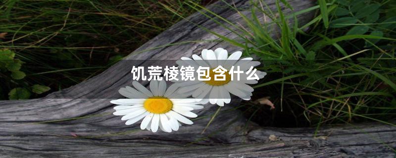 饥荒棱镜包含什么
