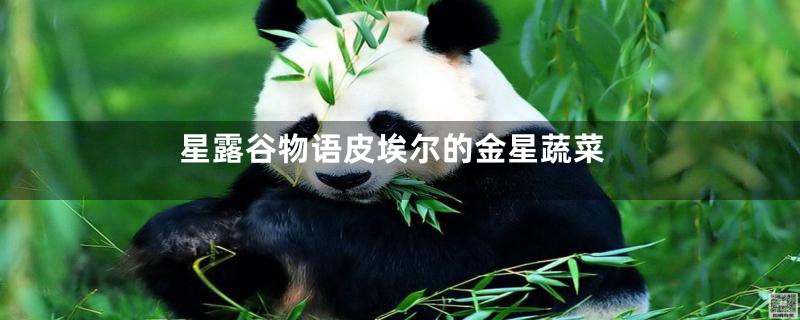 星露谷物语皮埃尔的金星蔬菜