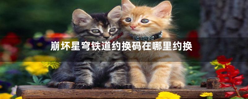 崩坏星穹铁道约换码在哪里约换