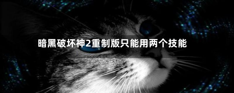 暗黑破坏神2重制版只能用两个技能