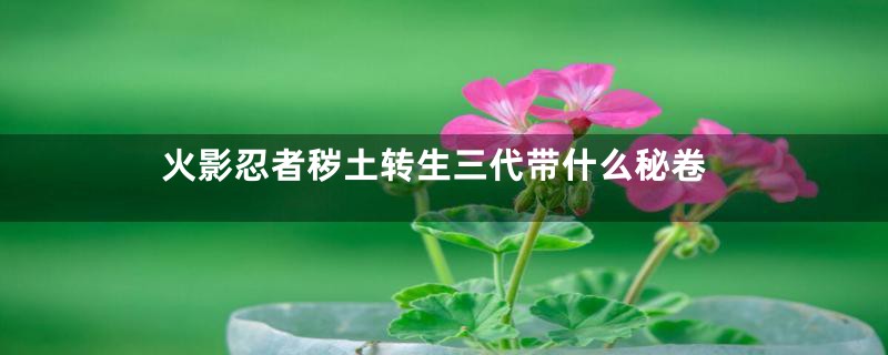 火影忍者秽土转生三代带什么秘卷