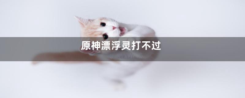 原神漂浮灵打不过