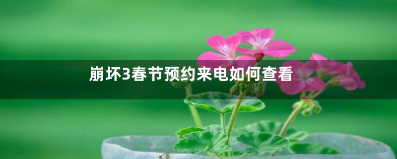 崩坏3春节预约来电如何查看