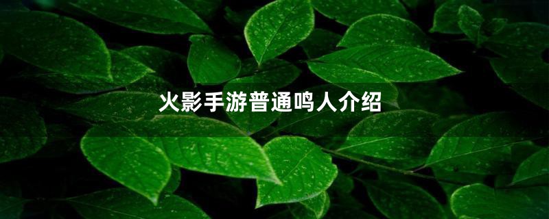 火影手游普通鸣人介绍