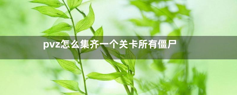 pvz怎么集齐一个关卡所有僵尸