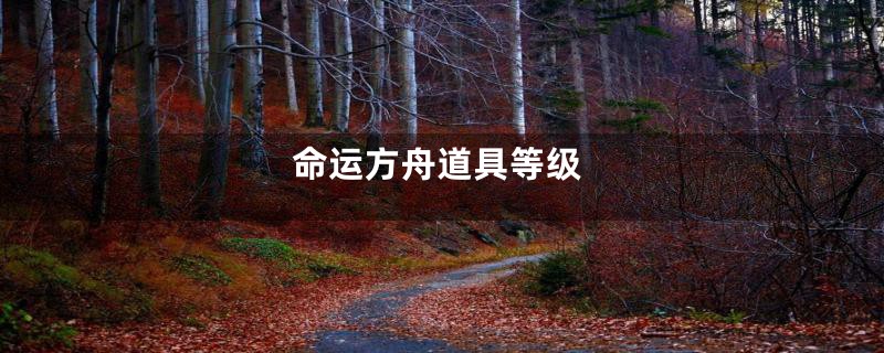 命运方舟道具等级