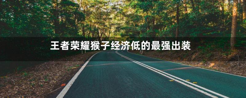 王者荣耀猴子经济低的最强出装
