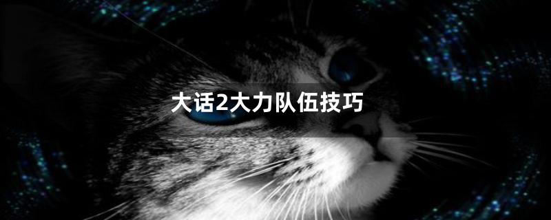 大话2大力队伍技巧