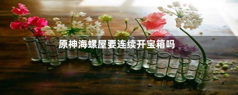 原神海螺屋要连续开宝箱吗