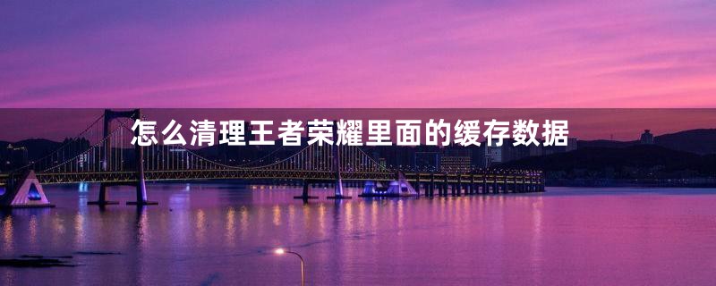 怎么清理王者荣耀里面的缓存数据