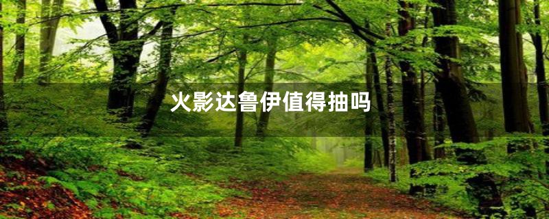 火影达鲁伊值得抽吗
