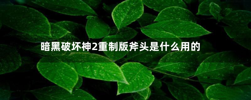 暗黑破坏神2重制版斧头是什么用的