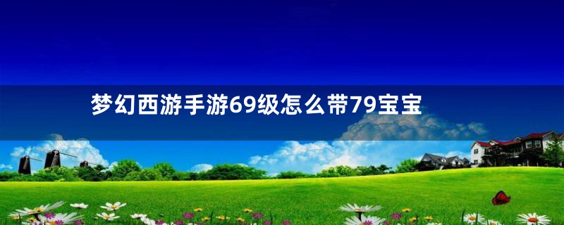 梦幻西游手游69级怎么带79宝宝