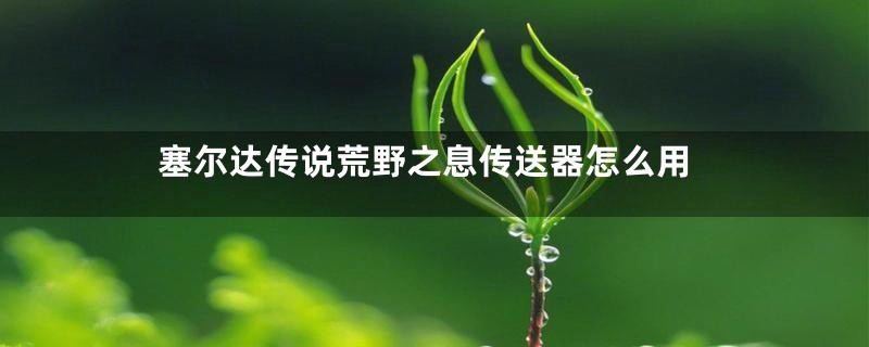 塞尔达传说荒野之息传送器怎么用