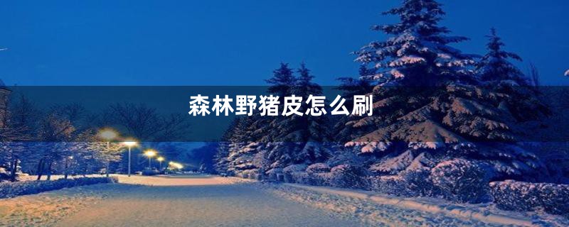 森林野猪皮怎么刷