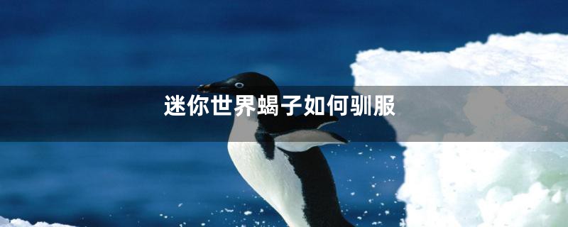 迷你世界蝎子如何驯服