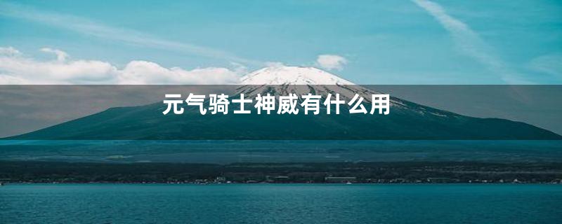 元气骑士神威有什么用