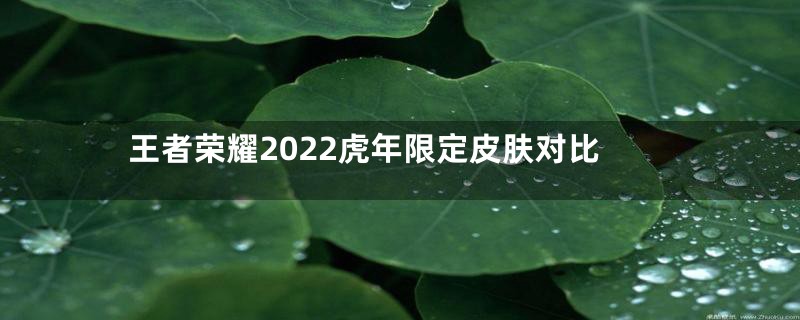 王者荣耀2022虎年限定皮肤对比