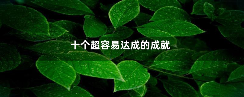 十个超容易达成的成就