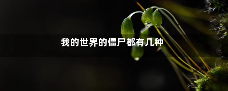 我的世界的僵尸都有几种
