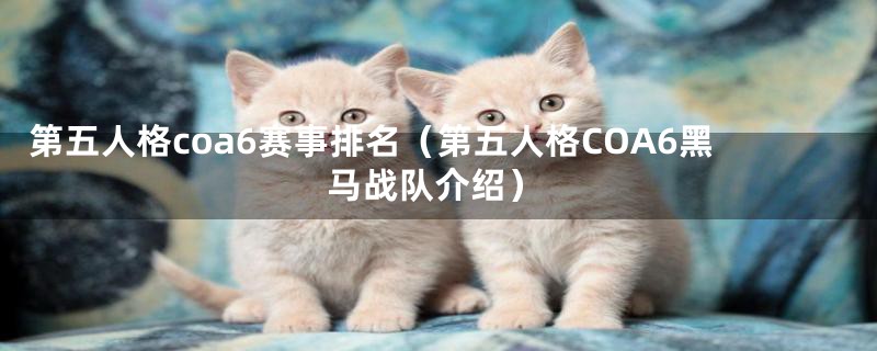 第五人格coa6赛事排名(第五人格COA6黑马战队介绍)